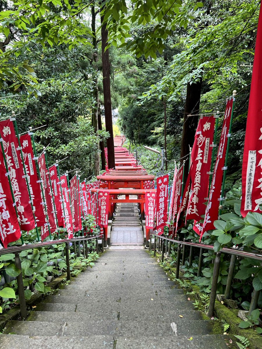 Merweduz's tweet photo. 上司が言ってたわ「GKがこの子じゃなかったら日本あと2～3本相手に点数入ってたよなぁ～？」と。
自分もそう思った、この子がいると安心するトコある。 https://t.co/i6aA9dMTaL