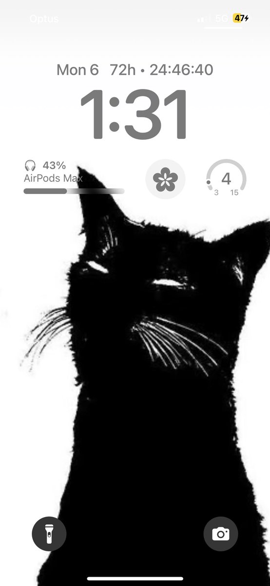 malustarves's tweet photo. How ed does my phone scream..? https://t.co/h2Wtcs0kF9