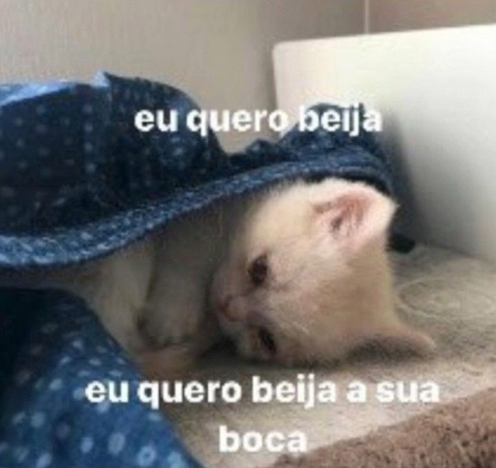 odeiootaco's tweet photo. https://t.co/4UQAEK4zqM