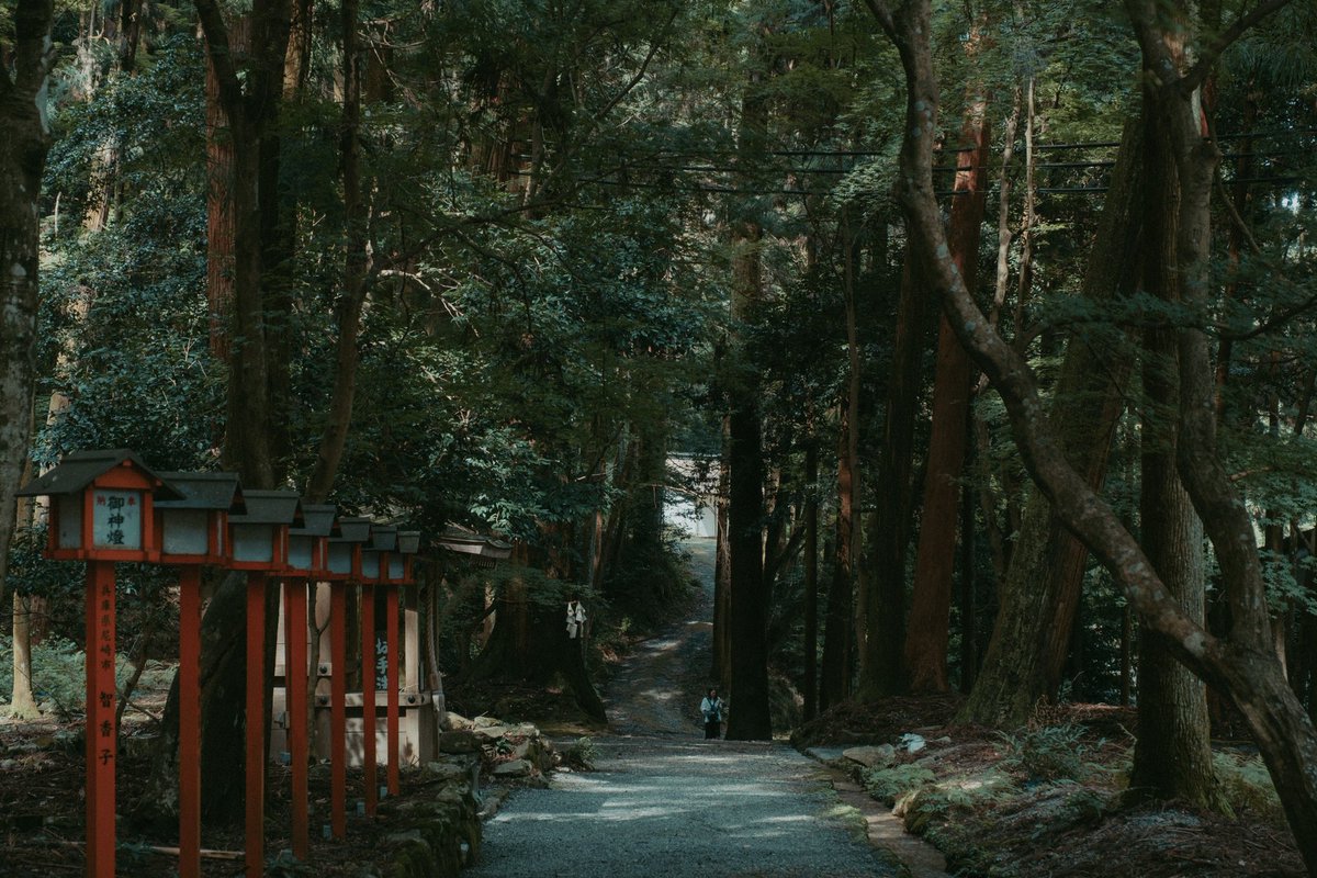 riki_shinagawa's tweet photo. Beautiful Scenery I Saw in Japan https://t.co/OLeZfBX8Mf