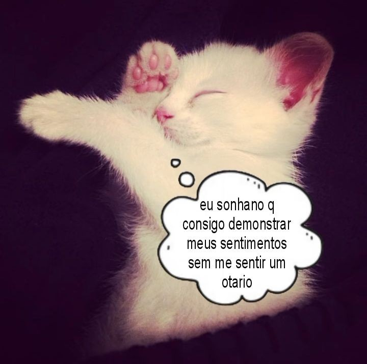 odeiootaco's tweet photo. https://t.co/YAQypy5cxZ