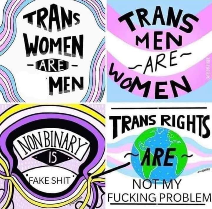 sirmarz1985's tweet photo. @whooith You people are sick and delusional. 

It doesnt matter what hormones you take, how much you mutilate yourself, or what people around you say. Men cannot become women. Period. https://t.co/C09otCYc7p
