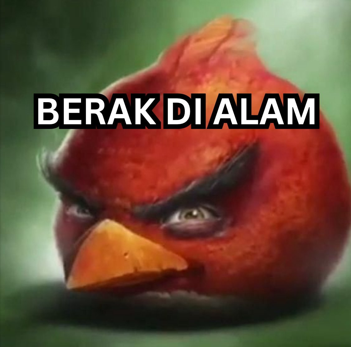 lvenderhazze's tweet photo. banyak pikiran rasanya otak gua ky mau pecahh tkut salah langkahh https://t.co/S2a8YBxkvm