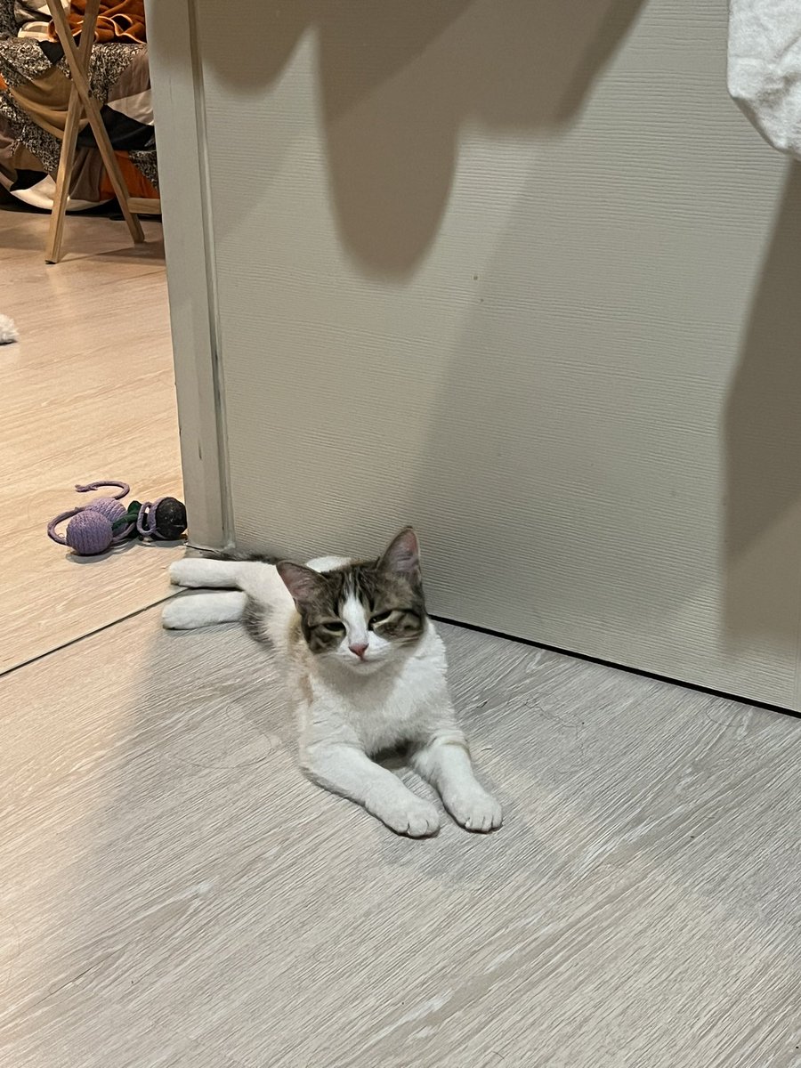 daicyyk's tweet photo. น้องเบ้บ https://t.co/J4icFmkdWS