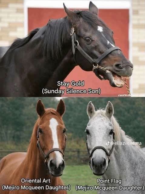 GoldOutsider's tweet photo. Apparently there's supposed to be a difference in these photos...

I need help. https://t.co/lOLmjYOyXP