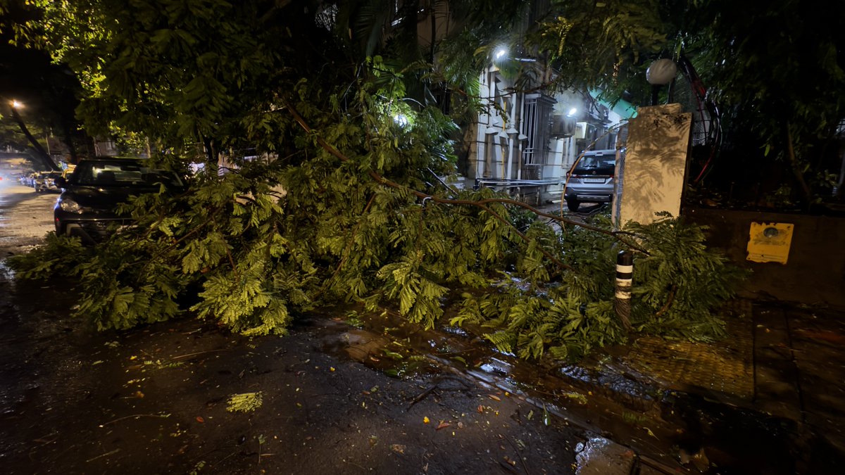 adwait_bjp's tweet photo. A large tree fell on the NatureTrail at Pandit Ramabai Road Gamdevi Mumbai-7 in between  Pole No. HYR 41 &amp; HYR 43 
⁦@mybmc⁩ ⁦@mybmcWardD Garden Department Need Help to Removing the fallen tree. https://t.co/DyNcLjhidl
