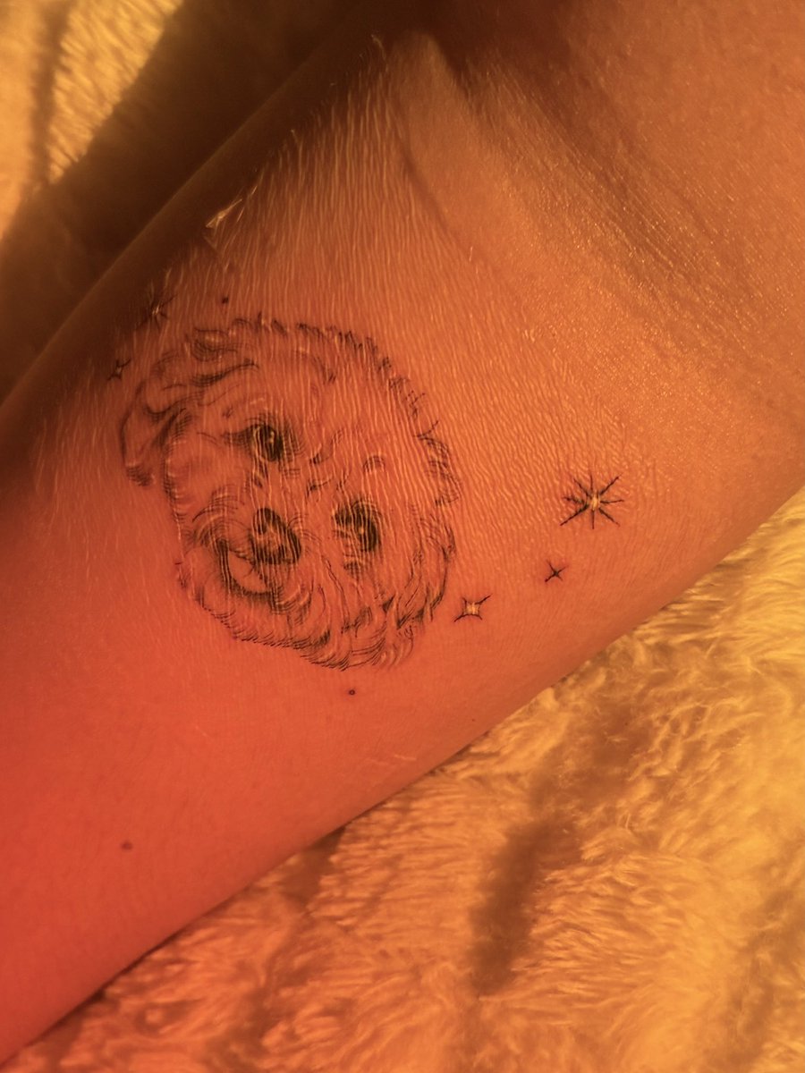 bluunfy's tweet photo. Recuerdo que cuando me tatué por primera vez, mi idea era hacerlo en el brazo. Pero, por cosas del destino, terminé haciéndomelo en la muñeca. Lo curioso es que el lugar donde alguna vez imaginé ese primer tatuaje, hoy está ocupado por Nicolás. 🐾 https://t.co/iIkrXKavBn