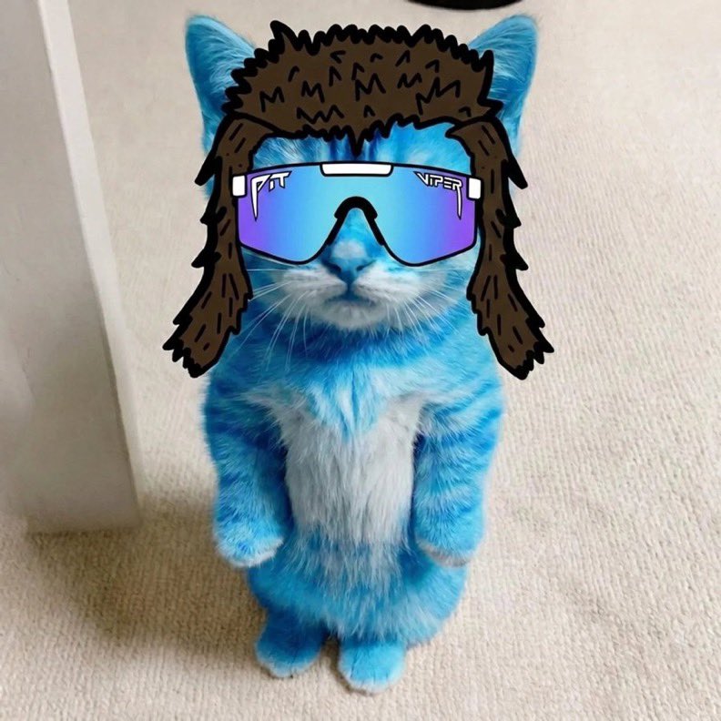 damir0x's tweet photo. @Pattyice What you got for the gato holders patty https://t.co/xdXnXFlk18
