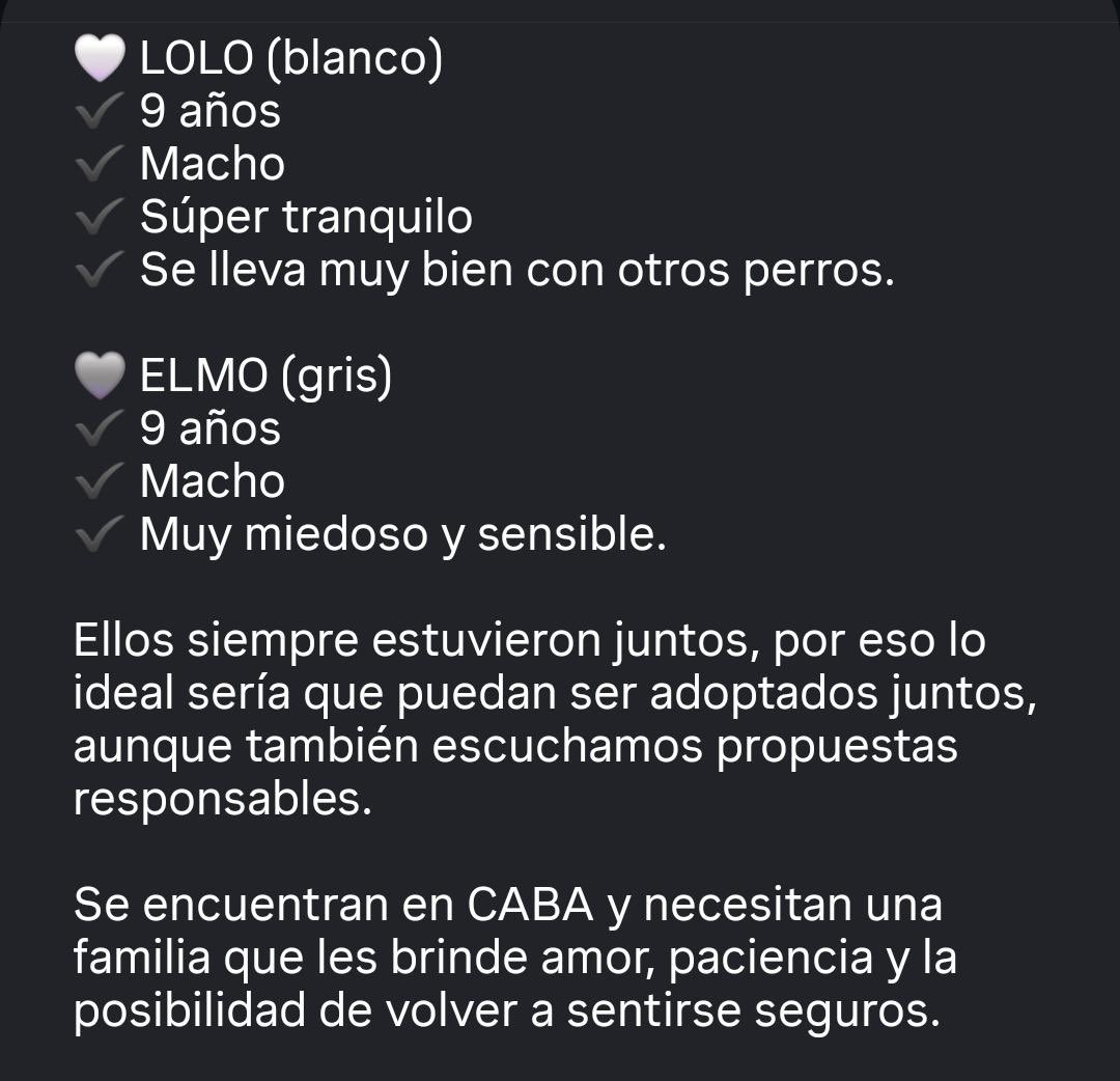 soltaloesputo's tweet photo. una amiga busca adopción urgente para los perritos de su abuela ❣️ ayudame a compartir 📍CABA https://t.co/IT271gHi8X