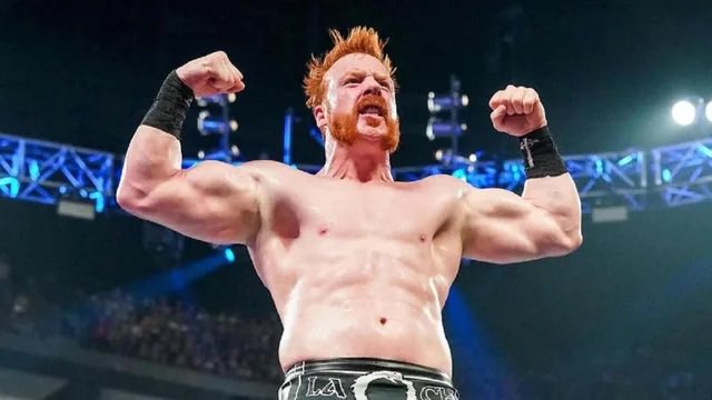 ProWFinesse's tweet photo. I'd really like to see Sheamus in Japan.

He would be a demon there. https://t.co/IYq7Ll9F9e