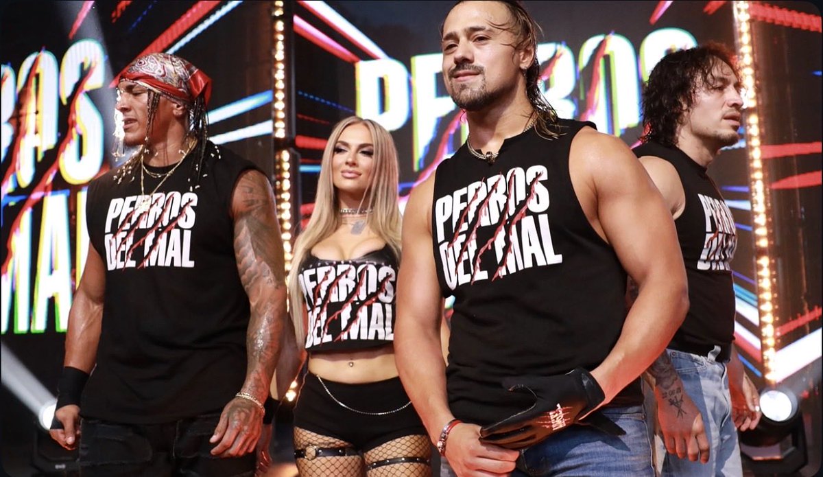 karmen_wwe's tweet photo. DIOS PERDONA… 🐾🔥🧨 https://t.co/0CQgPcNojY