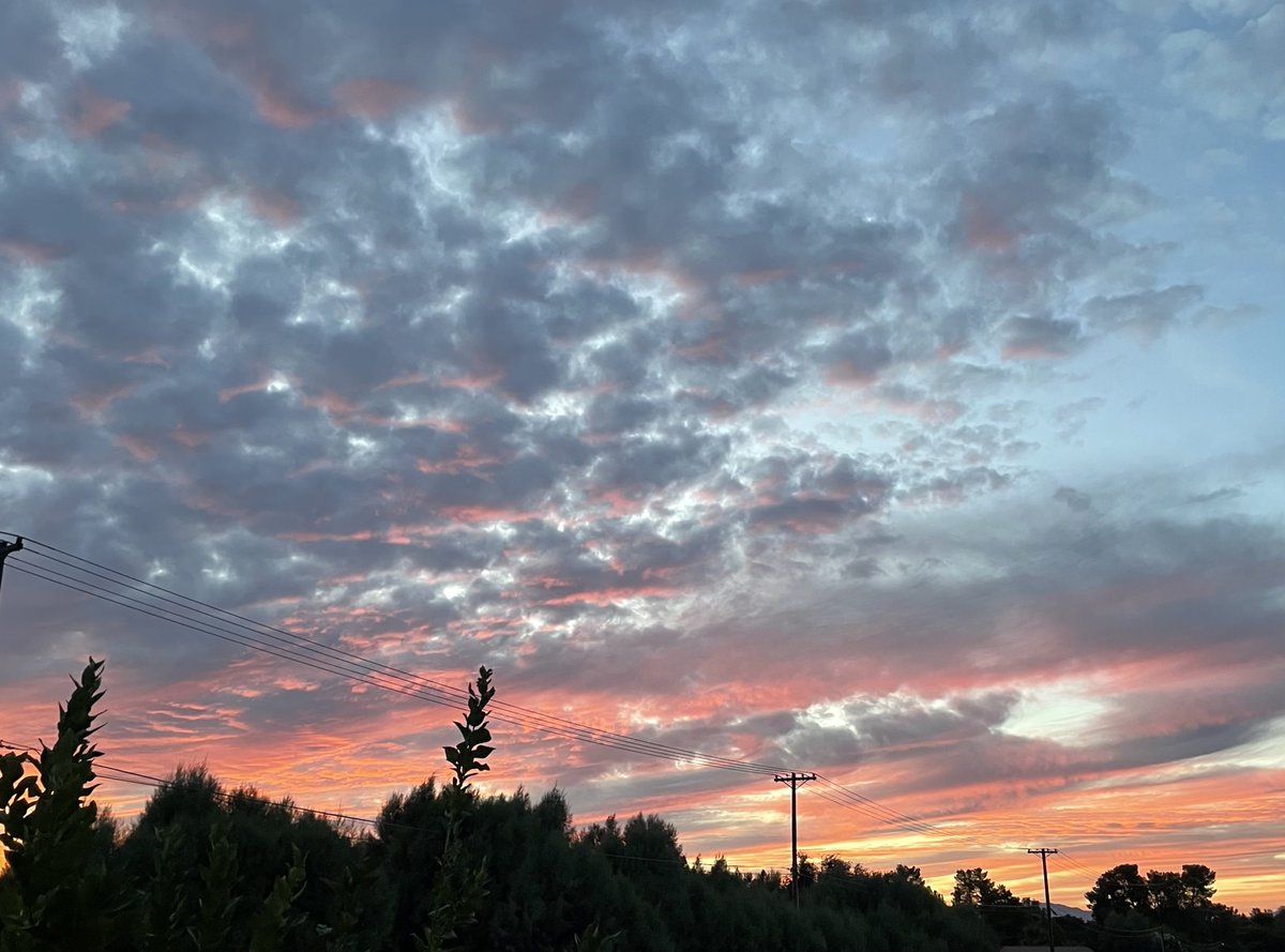TomilkinaDesign's tweet photo. Yesterday sky was absolutely amazing #sky #desertsunset #sunset #sunsetcolors #cactusandsunset #pinkandorangebluesky #yesterdaysky #colors #colorsinspiration https://t.co/sYTvAAzXOk