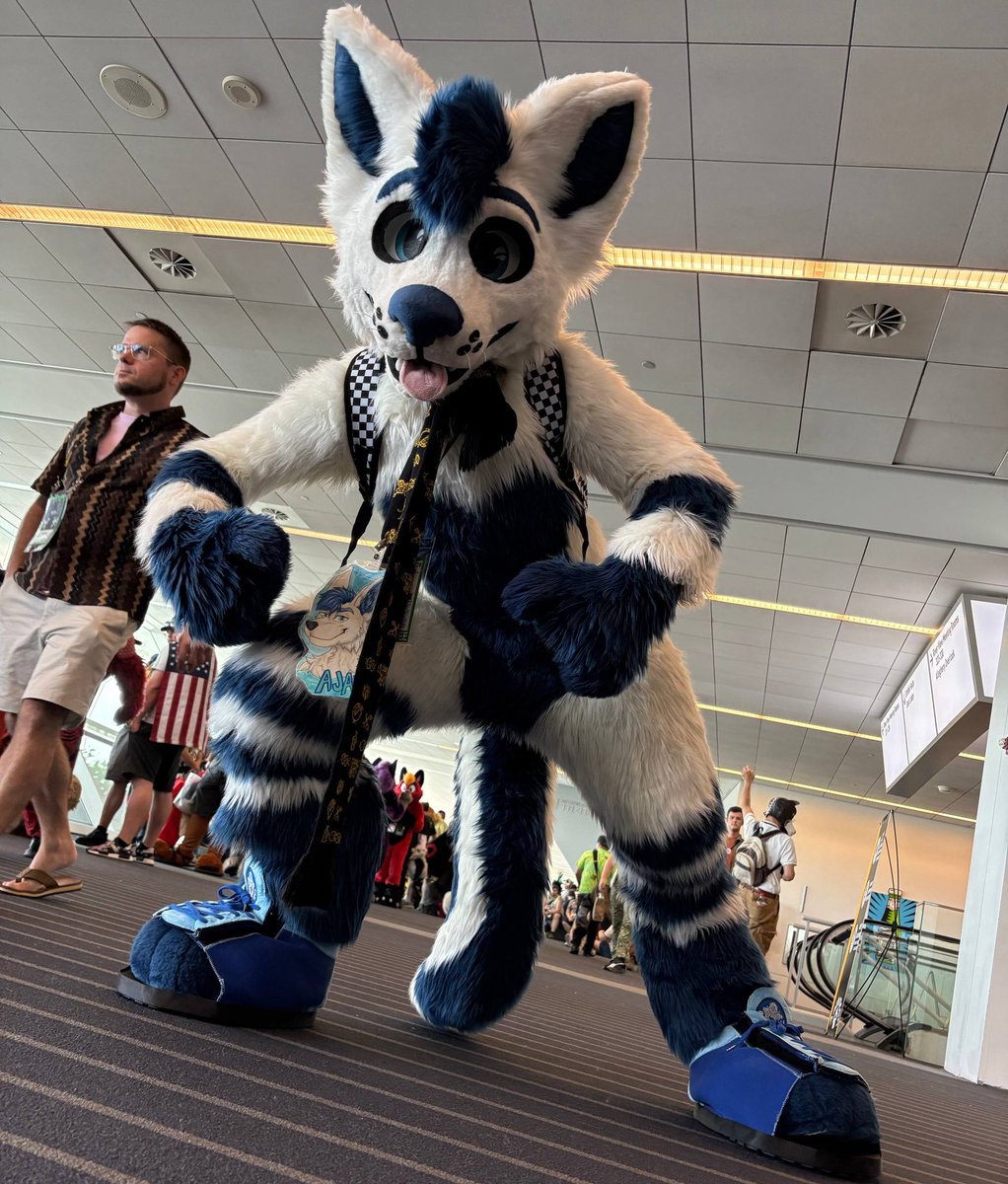 Jaxyfox's tweet photo. Emote on em

📷 @frizzcollie https://t.co/Dw2xWggT4K