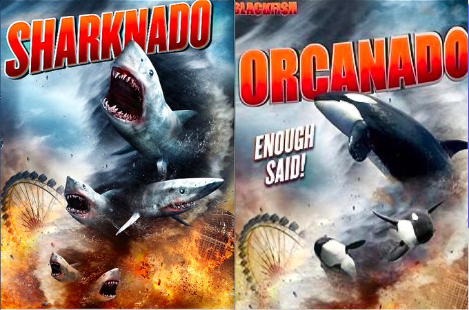 OrcaWeek tweet picture