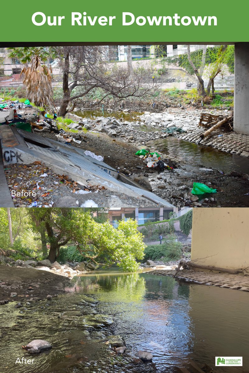 jbecher's tweet photo. Some Before and After photos of the Guadalupe River Park areas near @SAPCenter 
Thanks to @CityofSanJose, @grpg, @SJ_Downtown, Conservancy Corps, and others for their partnership 
Reimagination is not just happening inside for #sjsharks games but all around the arena as well https://t.co/TCY1zWe2fX