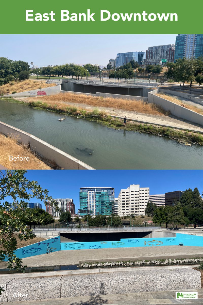 jbecher's tweet photo. Some Before and After photos of the Guadalupe River Park areas near @SAPCenter 
Thanks to @CityofSanJose, @grpg, @SJ_Downtown, Conservancy Corps, and others for their partnership 
Reimagination is not just happening inside for #sjsharks games but all around the arena as well https://t.co/TCY1zWe2fX
