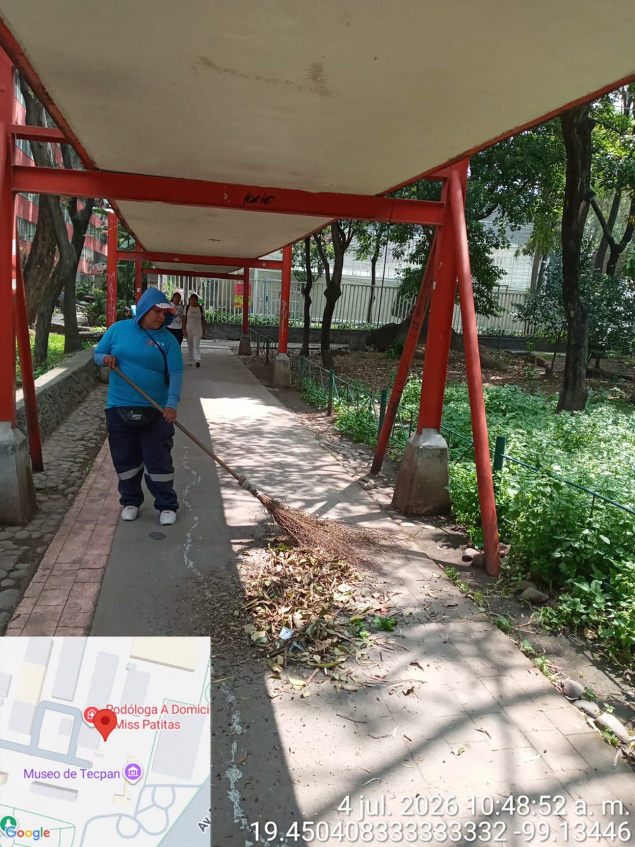 AlessandraRdlv's tweet photo. Porque el orden se construye con constancia.

Seguimos con la limpieza permanente en Tlatelolco para mantener sus calles, andadores y espacios públicos en mejores condiciones para todas y todos. 

No es un esfuerzo de un solo día, es un trabajo constante para que nuestras vecinas y vecinos vivan en un entorno limpio, digno y seguro.