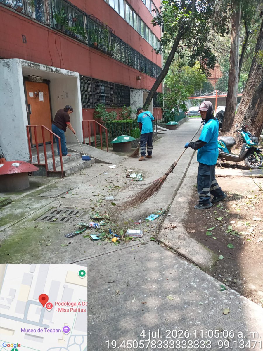 AlessandraRdlv's tweet photo. Porque el orden se construye con constancia.

Seguimos con la limpieza permanente en Tlatelolco para mantener sus calles, andadores y espacios públicos en mejores condiciones para todas y todos. 

No es un esfuerzo de un solo día, es un trabajo constante para que nuestras vecinas y vecinos vivan en un entorno limpio, digno y seguro.