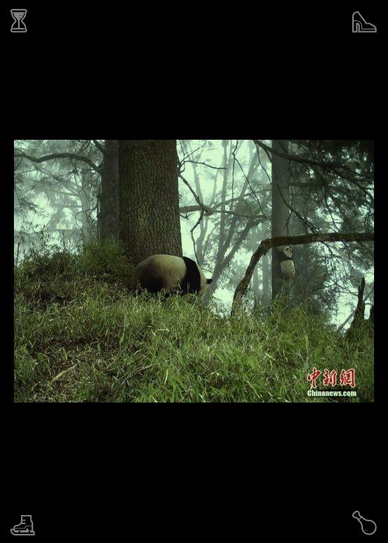 kavenkb's tweet photo. I continue swimming for another hour, alternating strokes and pushing my limits while enjoying the water. The indoor pool offers a different atmosphere than the outdoor one—more tranquil and focused—allowing me to lose myself in the rhythm of my movements. Wedding Cleaning: Th https://t.co/3gPENsd13h