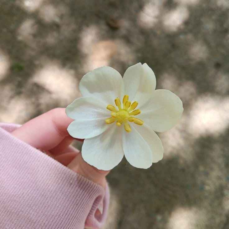 lavieestbelIe's tweet photo. https://t.co/2xWMffeYQM