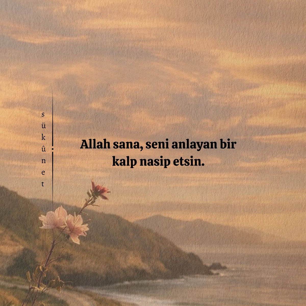 sukunnettt's tweet photo. https://t.co/08QyHuGcSS