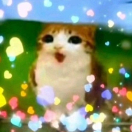 MaciekCh7's tweet photo. Meowl is real...
Meowl is immortal...
Meowl is old soul now... https://t.co/bkHTuOVVT9