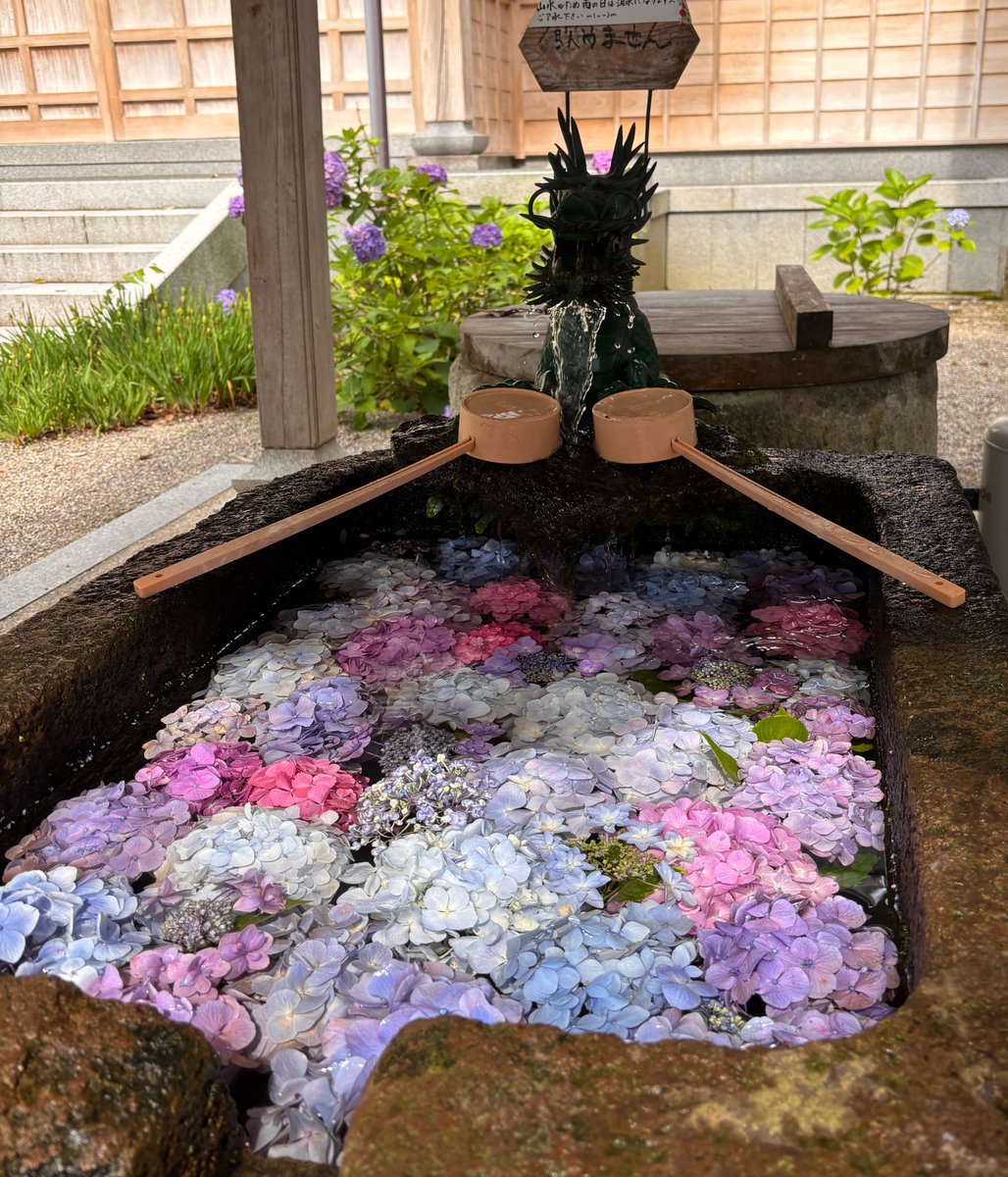 GraKamelia's tweet photo. 紫陽花を見てきて、夏の庭具を出したいなと思ったけども、家は没収されたままなんだった
#ff14
#ハウジング https://t.co/vgicDSy5FH
