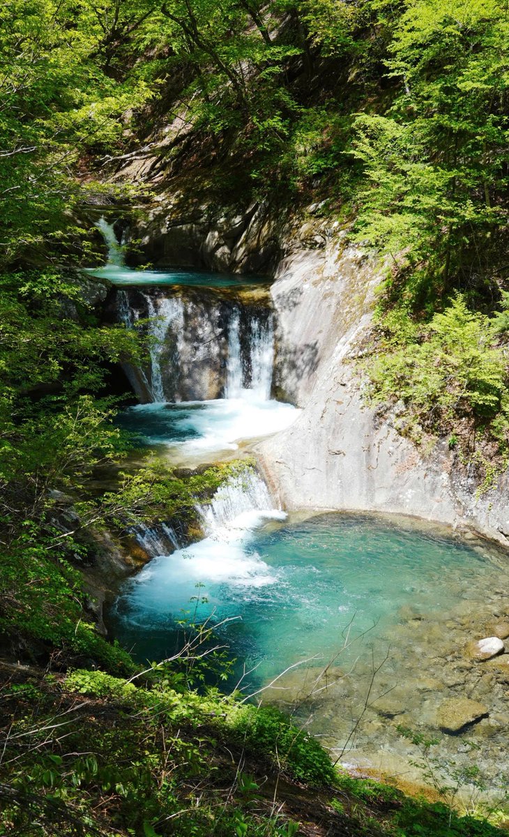 TourJapanTravel's tweet photo. 🏞️ TOUR KAMIKOCHI

Thiên đường xanh giữa lòng Alps Nhật Bản 🌿
Sông trong vắt, núi hùng vĩ, đi một lần là nhớ mãi.
🚐 Khởi hành từ Tokyo
💬 Inbox Tour Japan Travel để đặt chỗ.📱 Hotline/Zalo: 0399 828 649
#Kamikochi #JapanAlps #NatureJapan #TourJapanTravel https://t.co/gCR1ddyp1L