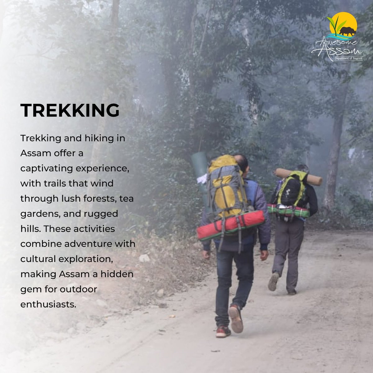 aweassam's tweet photo. Visit Assam and tick off these incredible experiences!
#AwesomeAssam
#AdventureActivities
#ExploreAssam
@CMOfficeAssam 
@himantabiswa 
@AjantaNeog https://t.co/ui6jMa8sPB