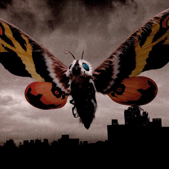 MetalSpringtra1's tweet photo. Mothra vs Gamera https://t.co/AG3B8p5L5q