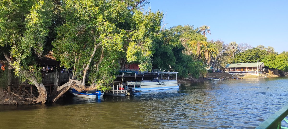 MAD4safari's tweet photo. Zambezi Sunset Cruise with Taonga Safaris is K650 per person. Kwasila. https://t.co/14jiJ5FMrm