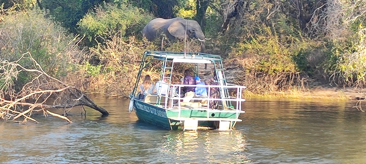 MAD4safari's tweet photo. Zambezi Sunset Cruise with Taonga Safaris is K650 per person. Kwasila. https://t.co/14jiJ5FMrm