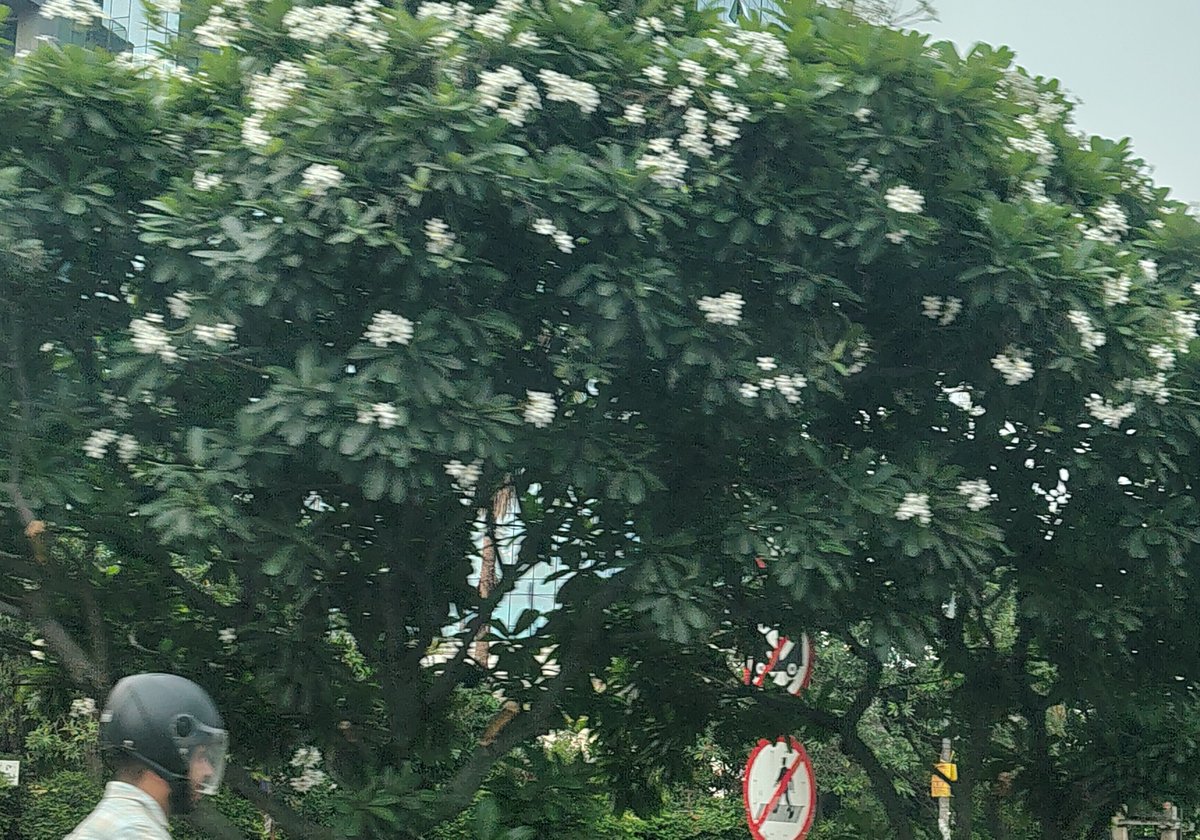 Nandini_tech's tweet photo. If money doesn't buy you happiness....give me your aadhi jaizat 🙂... Maybe you can earn some blessings which can lead to your happiness.... 

Went out for some window shopping today .... The weather was really very pleasant to enjoy the view 🙂‍↕️ https://t.co/LIj658in1s