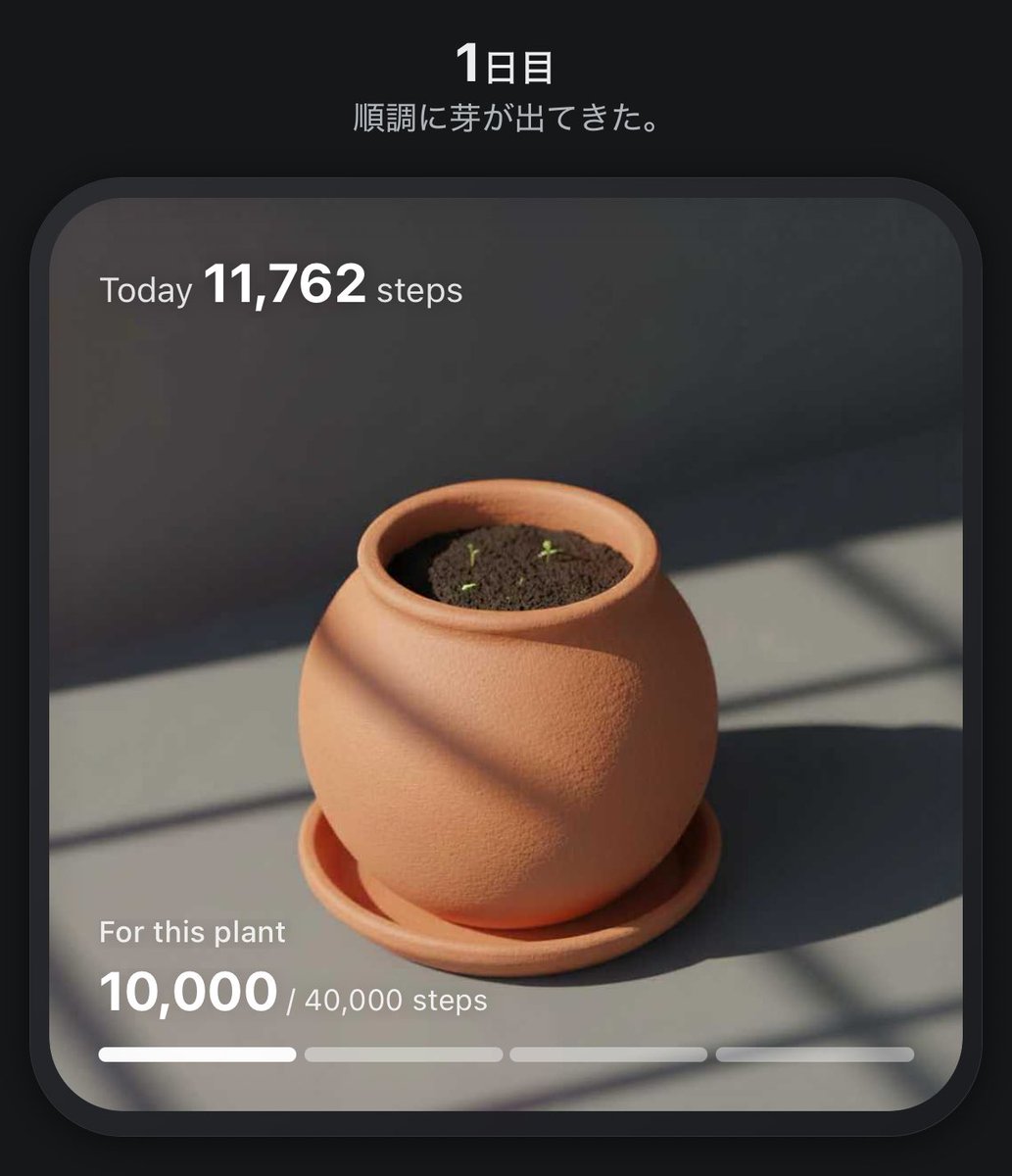 kanomkm's tweet photo. いつの間にか爆咲きしてた😳
そして次の鉢、こりゃなんだ？(ちんまい芽🌱) https://t.co/6FCiLpwj45