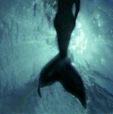 B00_T33Z's tweet photo. im having delusional ideas of siren ys and Cecaelian jh

their love is forbidden because sirens and cecaelians are enemies, their species hate each other, it's unnatural 

but jh cant stop thinking about the pretty siren hovering around his territory &amp; ys is curious of the + https://t.co/8UMx67CzAk