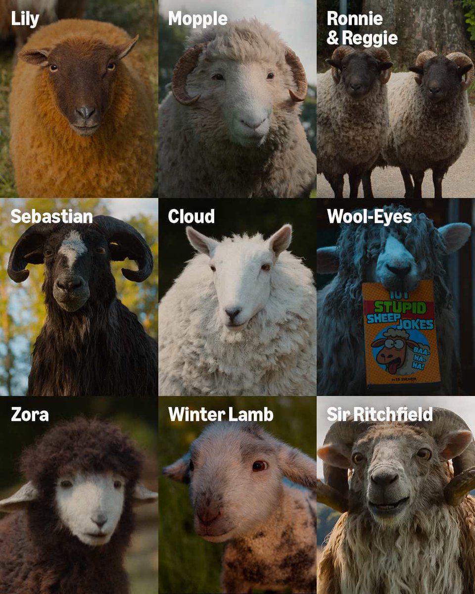 everymovieandtv's tweet photo. Which sheeo is your favourite from the Sheep Detective? https://t.co/Cm56riEdHB