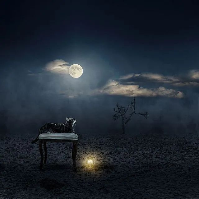 noveliciouss's tweet photo. If the notion is good enough it will haunt you till it’s written. T #Capote #writing #screenwriting https://t.co/1bZTpepoxr