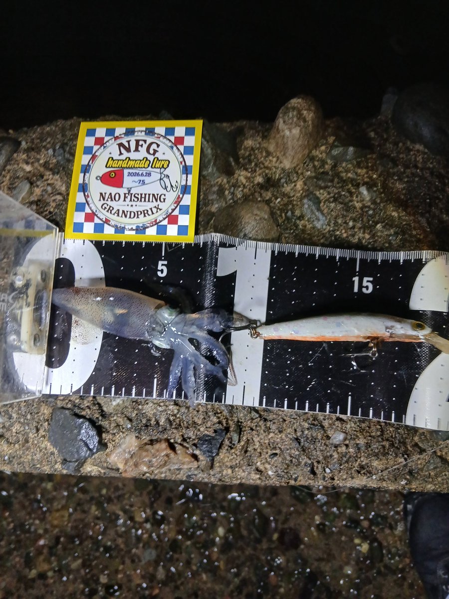 Shore0916's tweet photo. NFG ハンドメイドルアー釣り大会
最終日
釣果 
45.5cmのセイゴ
5cmのイカ🦑でした☺️
ヒットルアーはレジンで作ったミノー
１個
猫ルアー、イルカルアーでも釣りたかったなぁ
ルアー作るのも楽しいし
自作ルアーで釣れただけでも嬉しい
楽��い大会でした
ありがとうございました
 #NFG https://t.co/SF9EaUY7Kb