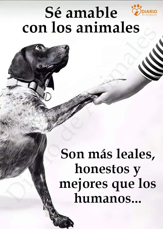 rey_latino33087's tweet photo. https://t.co/fv2uwlFEuU