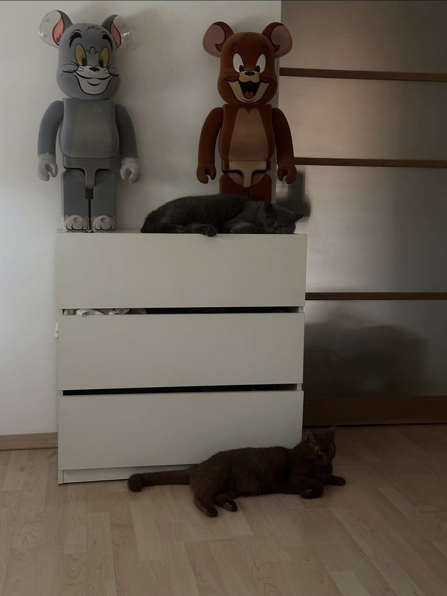 ATx0935's tweet photo. สองหนุ่มหาข้าวหายาให้คูมแม่ทานล่ะยาง พากันนอนเค้งๆ น้า จะได้หายป่วยไวๆ 🤗

#อุ้มทวีพร  #Aoomtwp #มีนเบ้บ https://t.co/ijYChqwht2