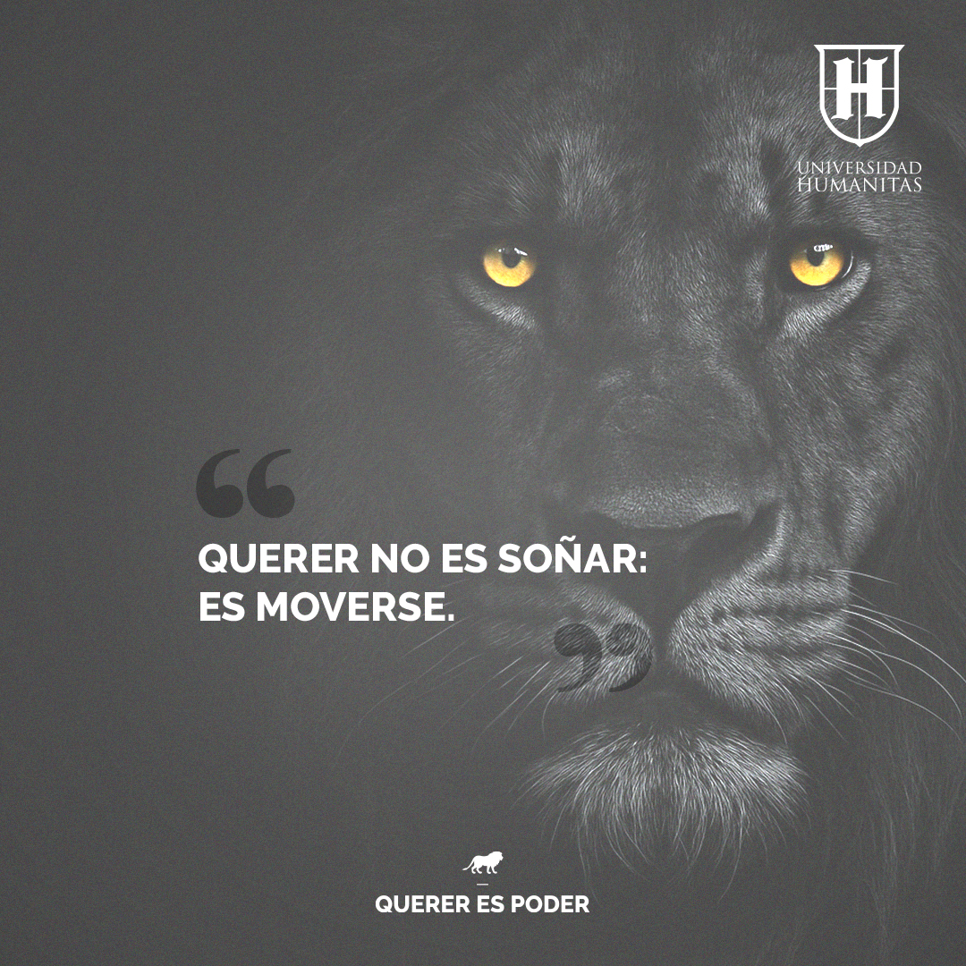UHumanitas's tweet photo. Cada meta que deseas está esperando a que te atrevas a perseguirla. 🙌🦁
Querer es moverse, crecer y avanzar. 💪
#UniversidadHumanitas #ImpulsandoPersonas #FuerzaH #QuererEsPoder https://t.co/iFzv8rWmGQ