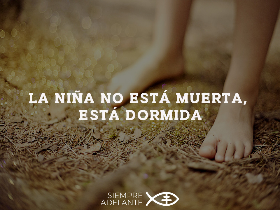 Archisevilla1's tweet photo. #EvangelioDelDía Mt 9, 18-26. Mi hija acaba de morir, pero ven tú y vivirá. https://t.co/qhyNdnCeKk

#PalabraViva #SiempreAdelante https://t.co/GZLl0Wbzv7