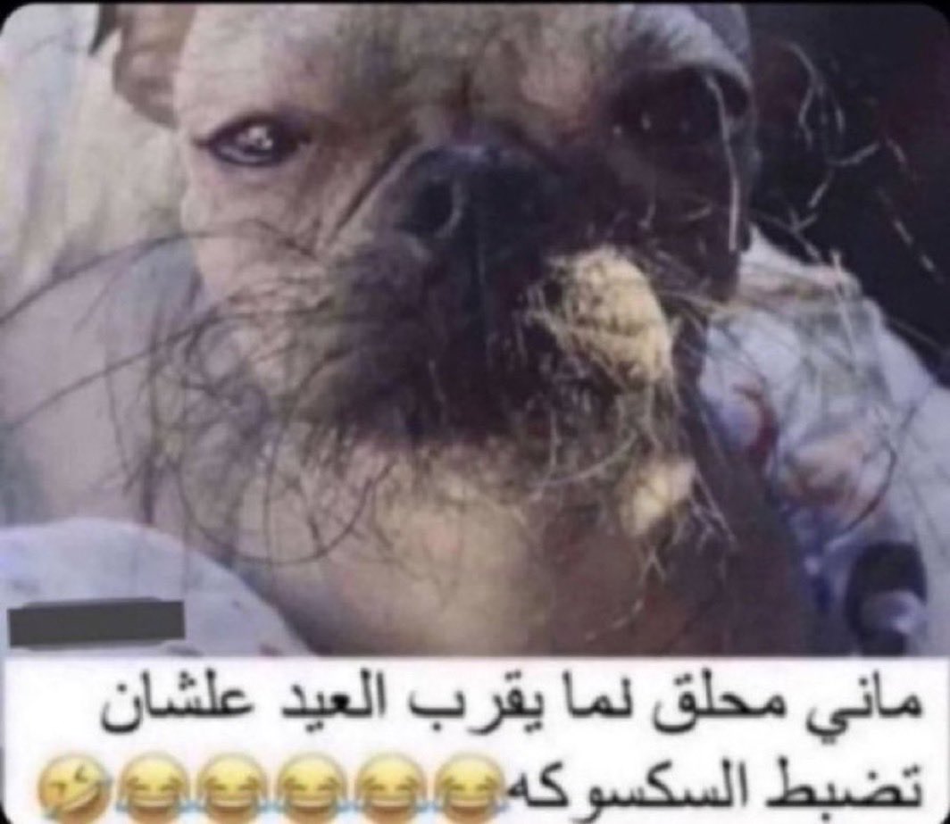 bojack1878's tweet photo. @portraitofwit والله اخر شهرين https://t.co/jGdxDkWS1n