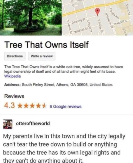 RealestMemes_'s tweet photo. https://t.co/sxW2tYLpt9