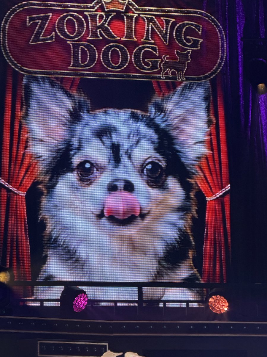 miku731's tweet photo. 今回も衣装がすっごく可愛かった🥰そしてぞっぴーも相変わらず激かわ😍🐶 https://t.co/afDfK6L8tD