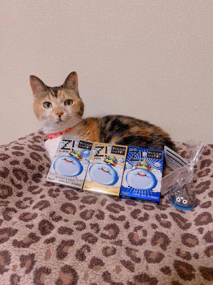 🐱 全種類ゲット