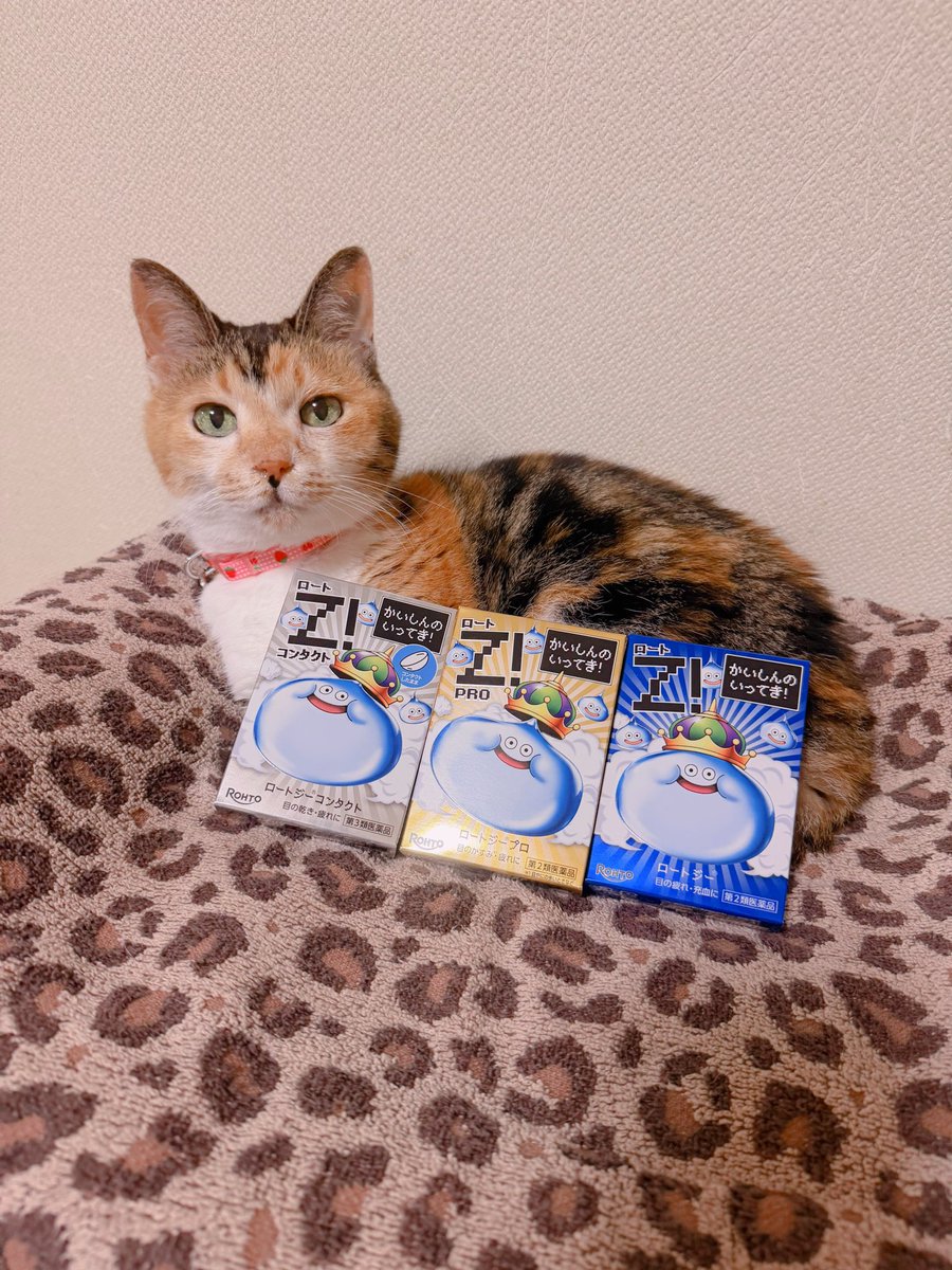 🐱 全種類ゲット