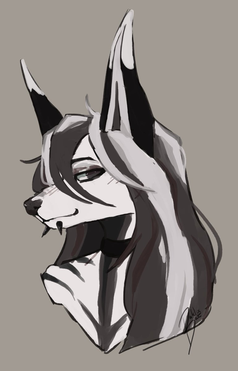 Bat 🖤 comms open tweet media