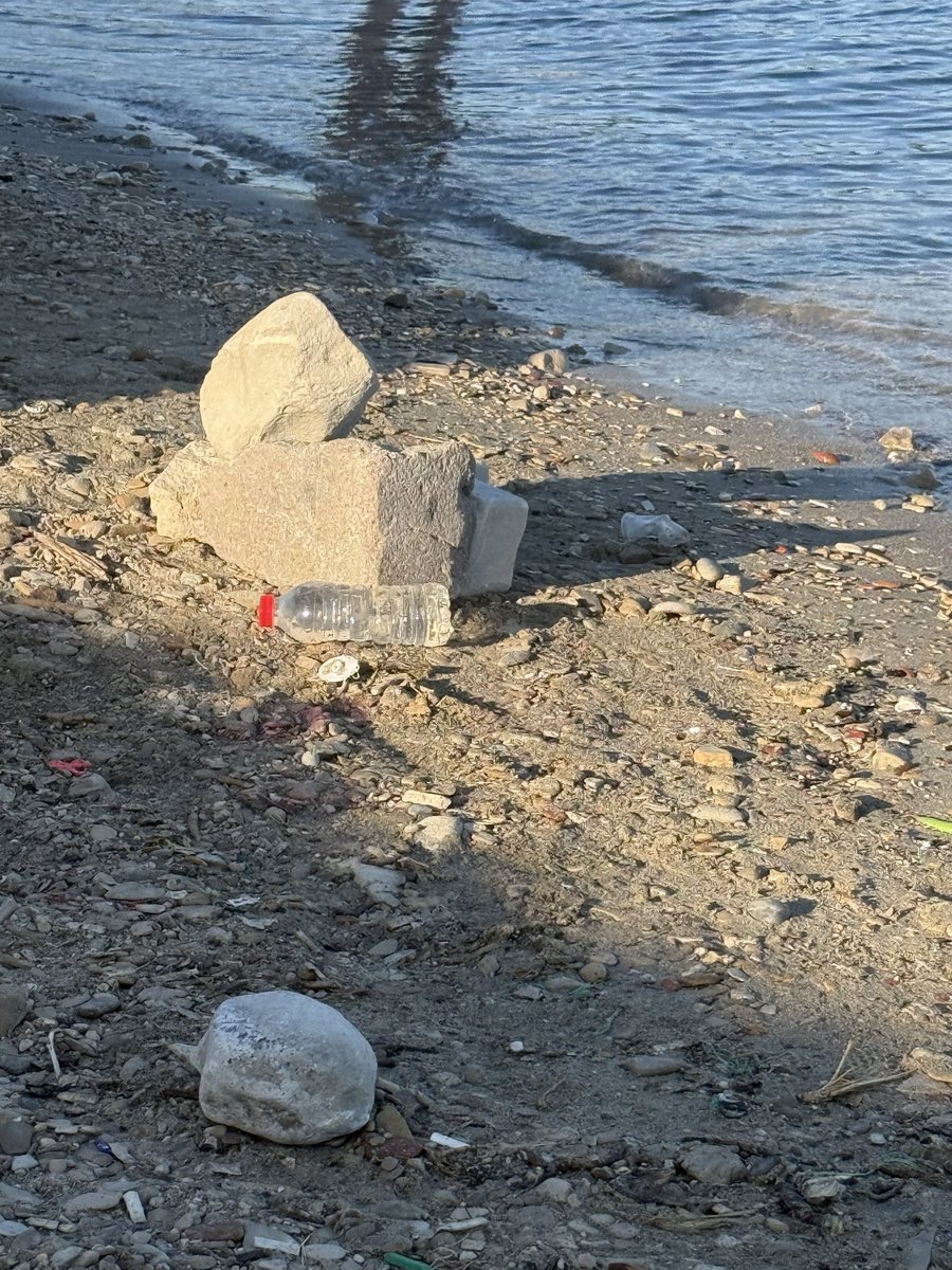 zeynepnlc's tweet photo. @laldenizlicesme @cesmebld mis gibi halk plajı ama halk ne kadar layık acaba bu sahili ücretsiz kullanmaya? @csbgovtr halk plajı dahi olsa kişibaşı giriş ücreti alınmalı o ücretle de bu insanların arkasını toplayacak ekipler kurulmalı sahiller halkın falan olmasın! #çeşmesera https://t.co/5ZTWnd5eod
