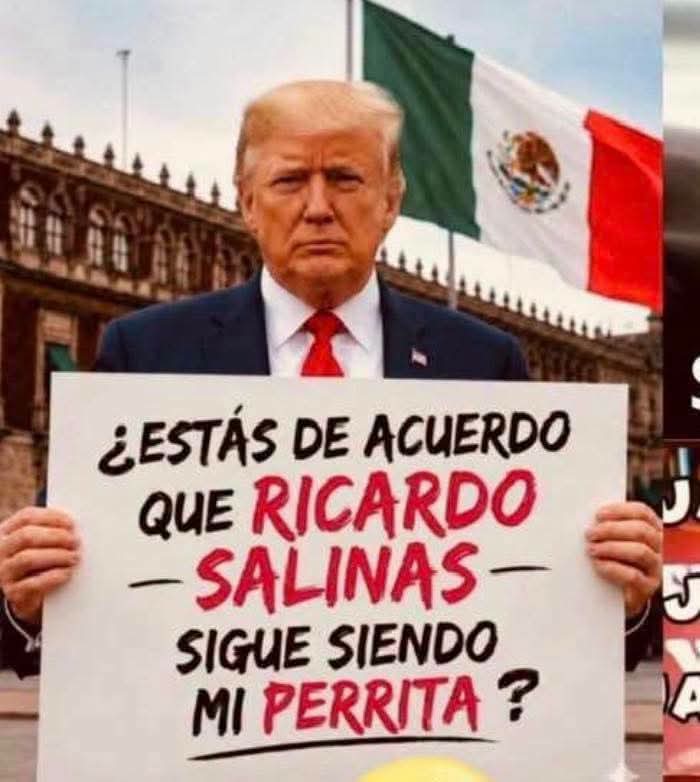 maritheavecilla's tweet photo. #LaPerritaDeTrump https://t.co/Kya9fy4Hp2